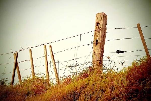 zoty中欧体育公司新闻